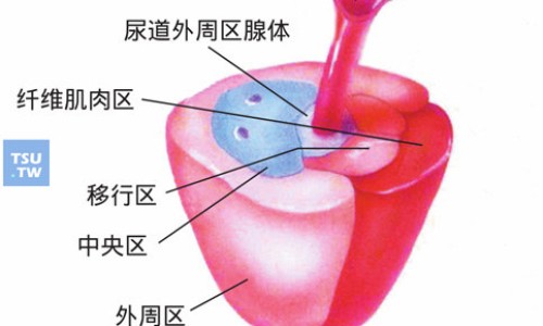尿路通胶囊影响怀孕吗女-尿路通胶囊影响怀孕吗网 - 为你提供尿路通胶囊影响怀孕吗女、尿路通胶囊影响怀孕吗女性
